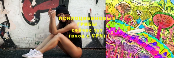 шишки Армянск