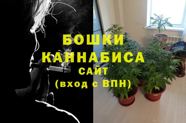 apvp Арсеньев
