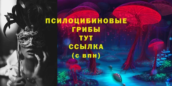 apvp Арсеньев