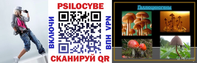 Галлюциногенные грибы GOLDEN TEACHER  как найти наркотики  Полярные Зори 